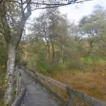 게스트하우스 Haus Hochwaldhoehe