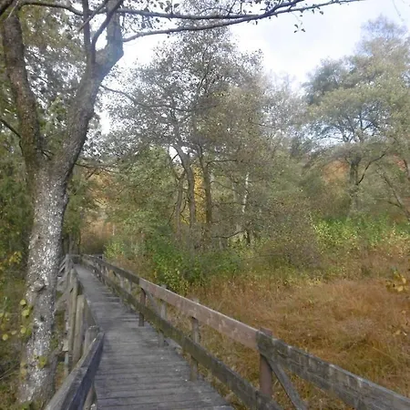 게스트하우스 Haus Hochwaldhoehe
