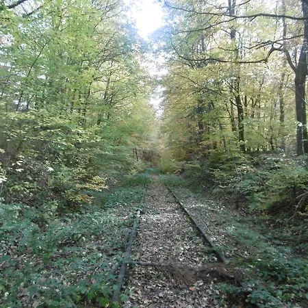 Πανσιόν Haus Hochwaldhoehe Morbach