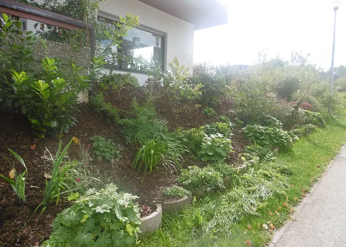 Πανσιόν Haus Hochwaldhoehe Morbach