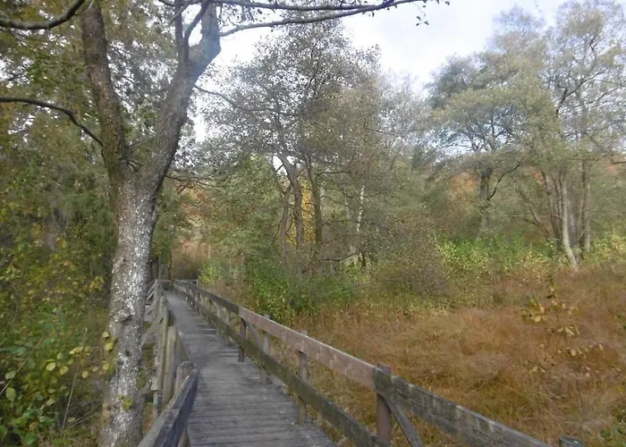 Konukevi Haus Hochwaldhoehe