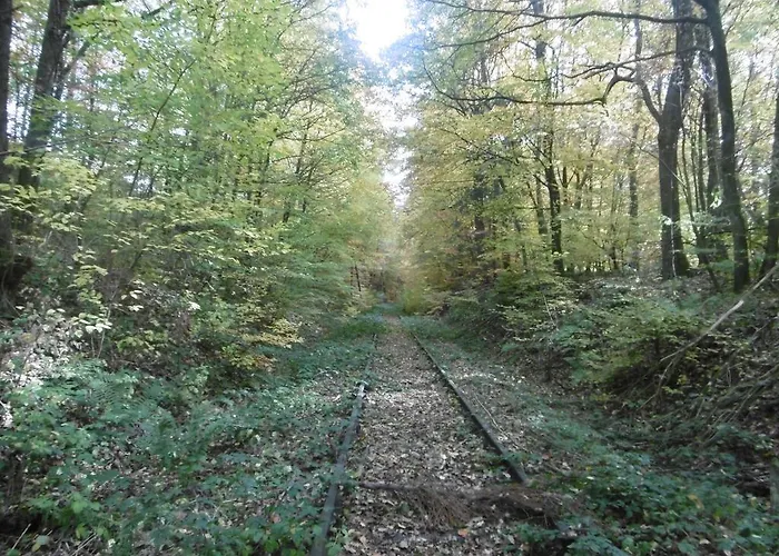 Konukevi Haus Hochwaldhoehe Morbach